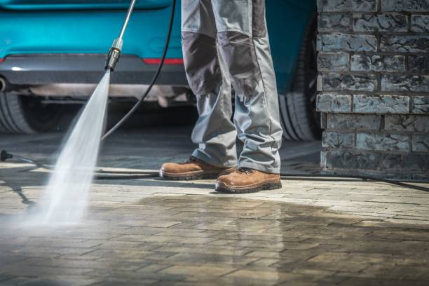 Best Driveway Pressure Washing  in Jackson, MN